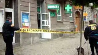 Morar Paza si Protectie Arad - Interventie - Panica