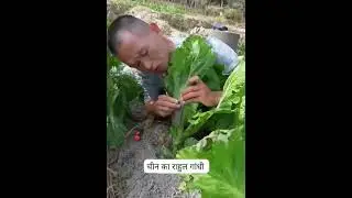 Bamboo man 