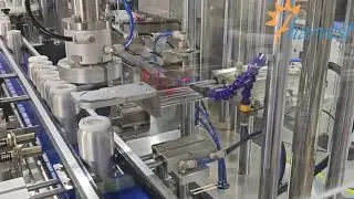 Fully Auto Suction Cap Press + Single Head Screw Capper - Complete Bottle Sealing Line
