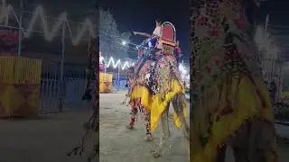 Camel Ride in Mela #ytshorts