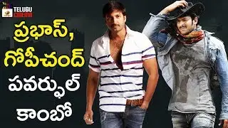 Prabhas and Gopichand Multi Starrer Movie Update | 2019 Tollywood Latest Updates | Telugu Cinema