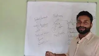 Indian judiciary - writs - judicial review - ideology and provisions