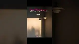 Viral Media by myc#Dhodogea#Nayab hi hum#AbidaParveen