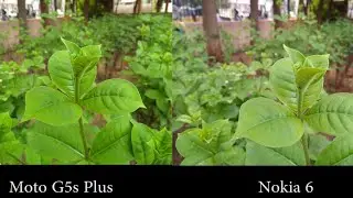 Moto G5s Plus vs Nokia 6 Camera Comparison