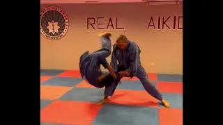 Master of the Real Aikido Center 