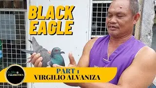 Loft visit sa isang beteranong fancier sa Apalit, Pampanga!
