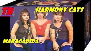 Harmony Cats   -  Margarida