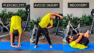 BASIC STRETCHES To Avoid Injury & Improve Workout Performance