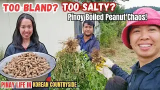 Pinay Life in Korean Countryside 🇰🇷 | Boiled Peanuts Gone Wrong + Chili Harvest Day! 🌶️🥜
