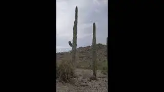 Poker run  out of hope Arizona 11 15 2025
