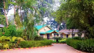 Lataguri trip | Gorumara National Park | Tuskers Den Resort