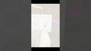 Snow Owl Diving Broken Caves On GB7x DUOS ARK