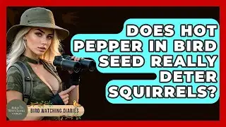 Does Hot Pepper In Bird Seed Really Deter Squirrels? - Bird Watching Diaries