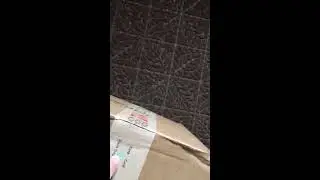 NomNomNow Fresh Pet Food Delivery Review