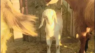 समय का कोई भरोसा नहीं जो किस्मत में लिखा है वही मिलेगा