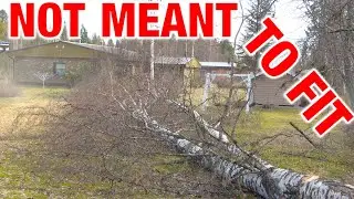 2025 Job 11: Birch Tree Down in 180 Seconds &ndash; Confined Space Challenge