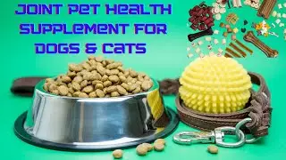 Best 5 joint Pet health supplements for dogs & Cats  [Buying Guide]