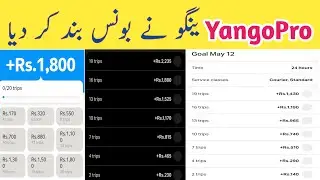YangoPro Bouns | yango new update