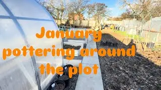 January pottering on the plot 