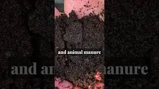 Hot Compost Like a Pro. NO EQUIPMENT NEEDED