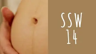 Schwangerschaftswoche 14 / SSW14