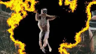 THE ULTIMATE ZANNIMO FIGHTING