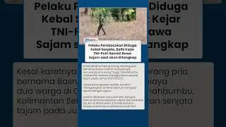 Pelaku Pembacokan Diduga Kebal Senjata, Tak Takut Kejar TNI-Polri Sambil Bawa Sajam saat Ditangkap