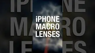 Should you get an iPhone macro lens? #macrophotography #iphone #smartphone