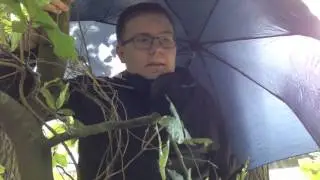 Tysk Film - zdf nyheder