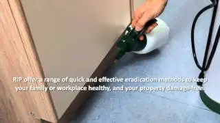 Professional Pest Control In Camden