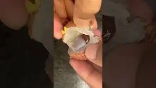 Lychee fruit cutting #lychee #fruit #fruits #fruitcutting #fruitscutting @RMsabjiandfruitcutting