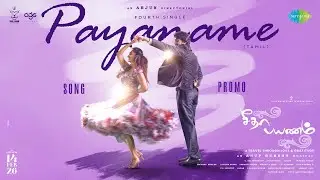 Payaname - Song Promo | Seetha Payanam (Tamil) | Niranjan, Aishwarya | Arjun | Anup Rubens