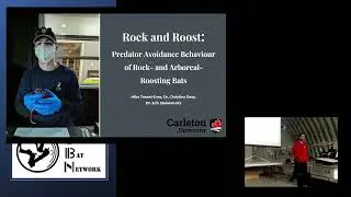 Rock & Roost: Predator Avoidance Behaviour in Bat &ndash; Mika Tosoni&ndash;Eves &ndash; OBN 2025