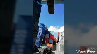 Rotterdam haven container bosaltma