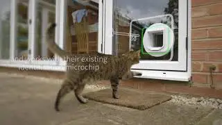 SureFlap Microchip Cat Flap - PurrfectlyYappy.com