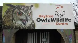 Baytree Owl & Wildlife Centre - Sun 13th Nov 2022