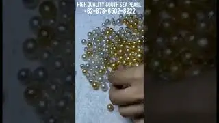 south sea pearl wholesale please wa +6287865026222