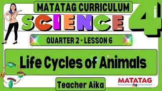 MATATAG Science 4 Grade 4 Quarter 2 Lesson 6 Life Cycles of Animals