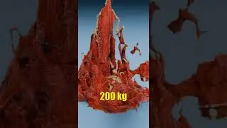 Mammoth Bone Marrow vs Human Bone Marrow