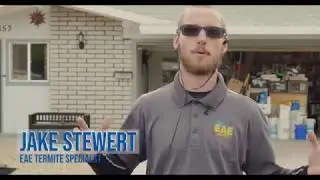 Termite Control Phoenix
