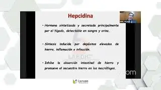 Relaci&oacute;n Anemia - Obesidad: &iquest;Qu&eacute; es la Hepcidina?