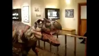 Allosaurus baby at La Quinta Museum short