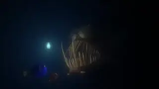 Marlin and Dory fighting anglerfish scene (Finding Nemo 2003)