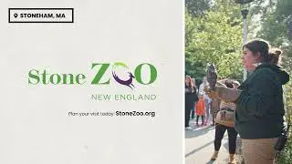 Stone Zoo: Zoo What Makes You Happy