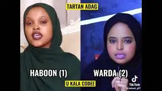 hees bilaa music ah mid u codee Haboon iyo Warda.