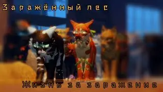 5 серия 