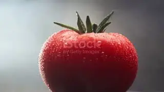Tomato Time: Fresh Flavors Unleashed!