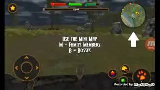 OWL SIMULATION!!!!!!