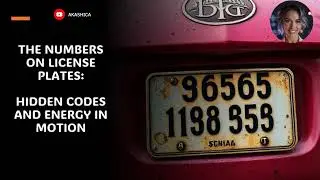 THE NUMBERS ON LICENSE PLATES: HIDDEN CODES AND ENERGY IN MOTION