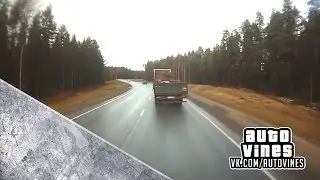 Auto Vines №164